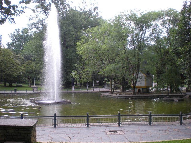 Original image